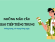 Những mẫu câu giao tiếp cơ bản
